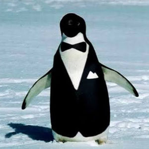 Meet your Posher, Jack